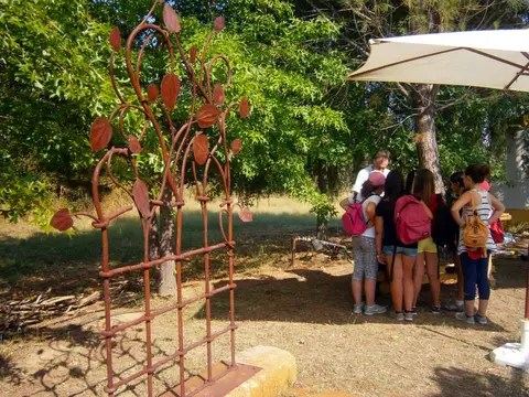 Quinta dos Trevos experiências jogos e ateliers