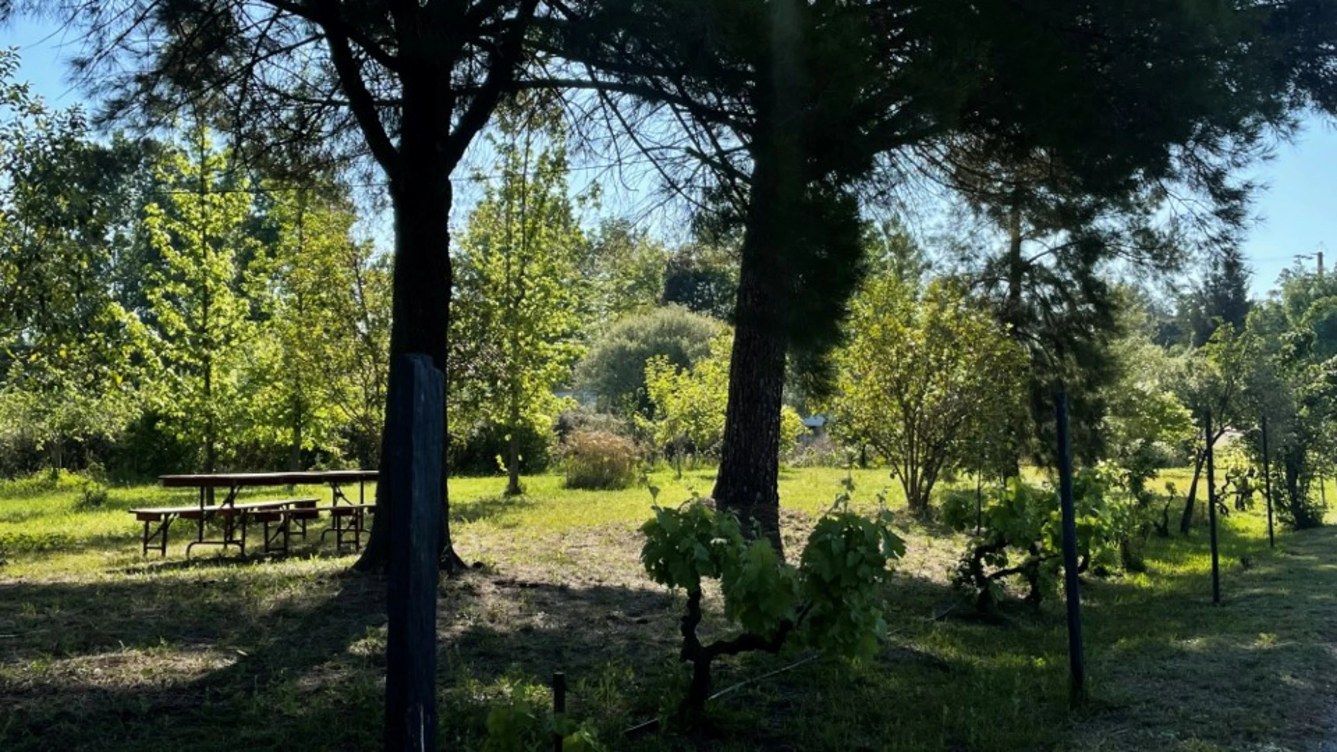 Quinta dos Trevos a caminho do alojamento de turismo rural artes e ofícios