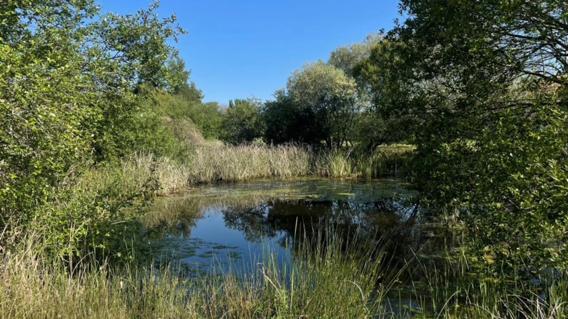 quinta-dos-tevos-charca