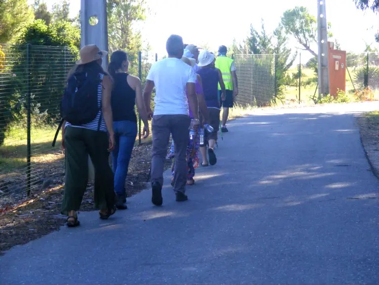 quinta dos tevos pedestre