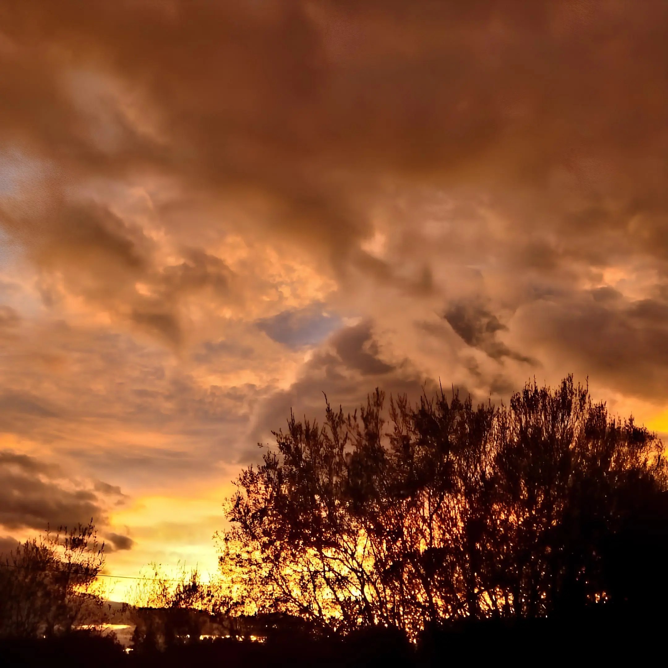 Por do sol dourado na Quinta dos Trevos Foto Celsa Herrero