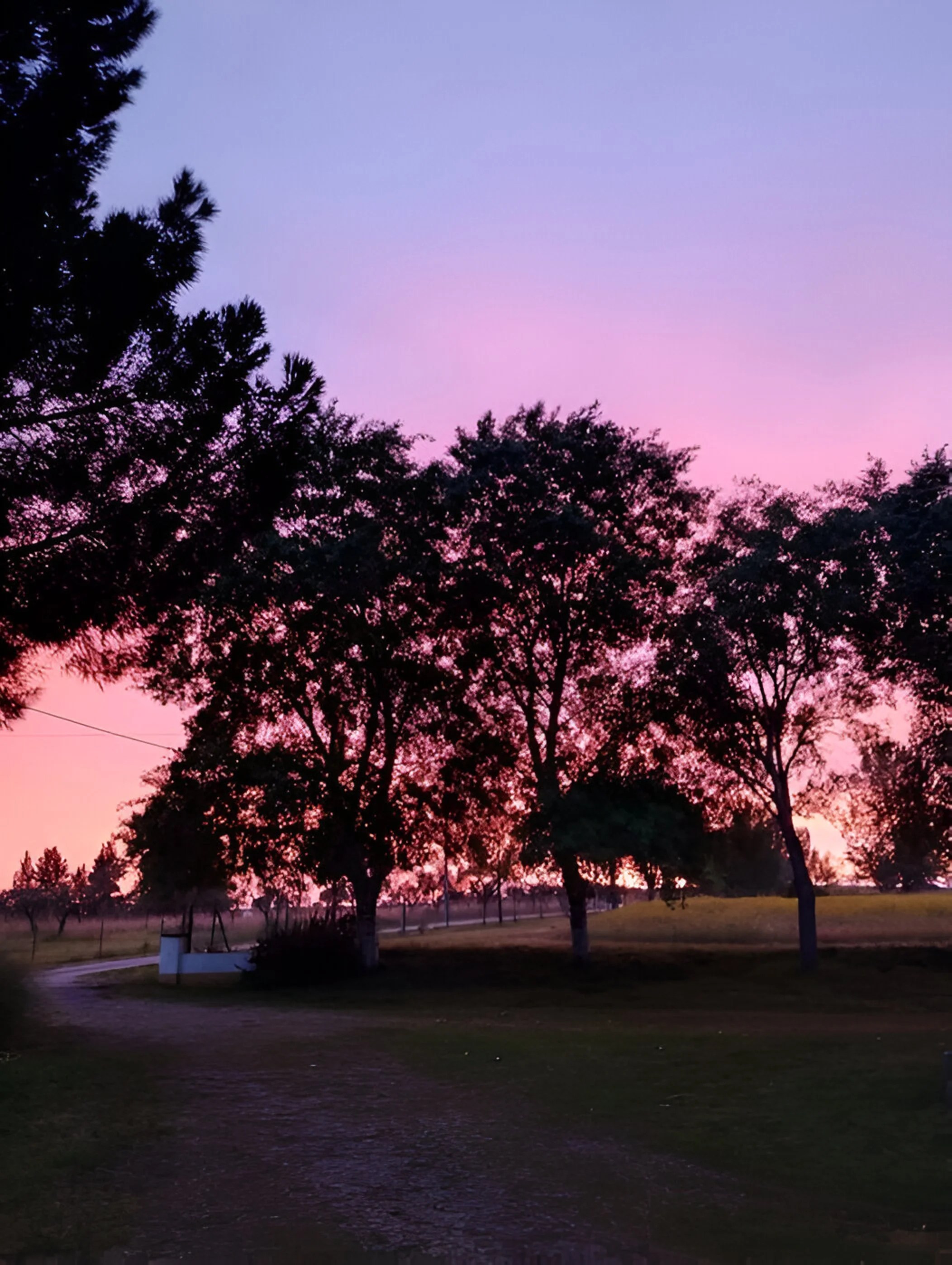 Por do sol na Quinta dos Trevos Foto Celsa Herrero