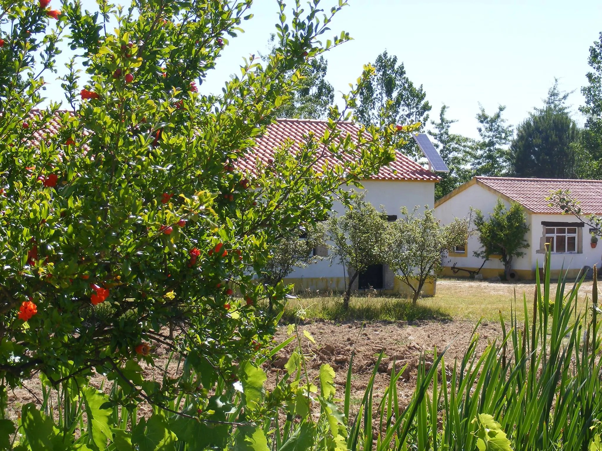 quinta dos tevos romazeira