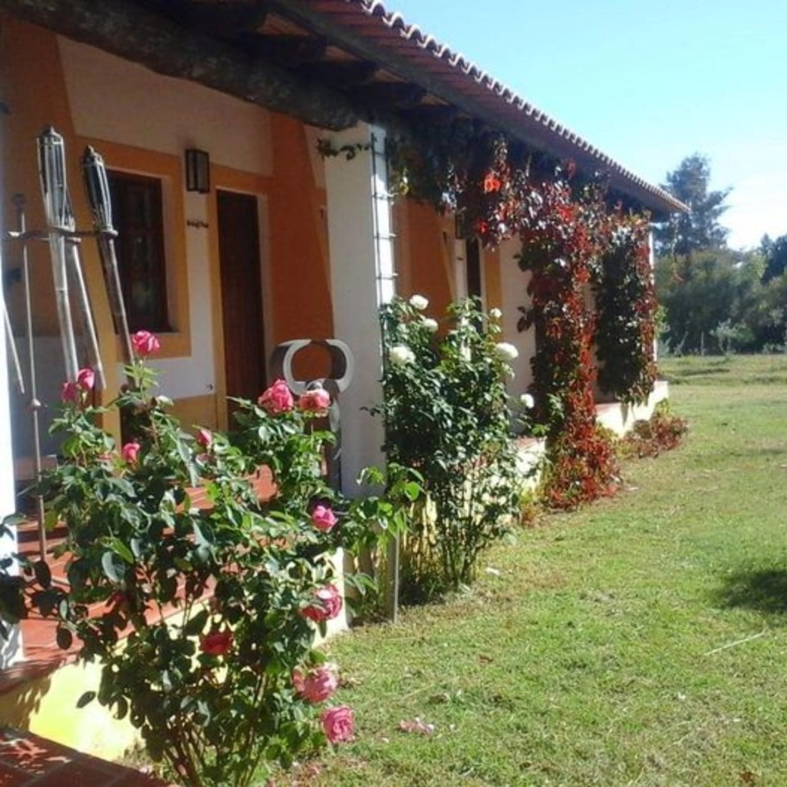 quinta dos trevos exterior alojamento