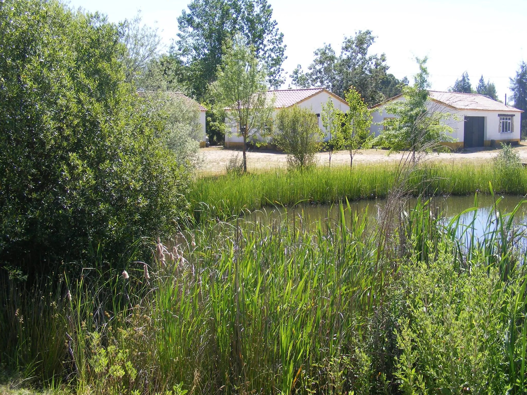 quinta dos trevos lagoa