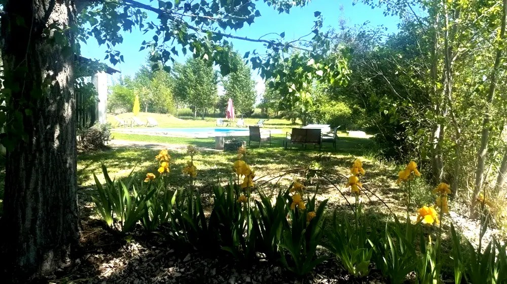 Quinta dos Trevos-piscina